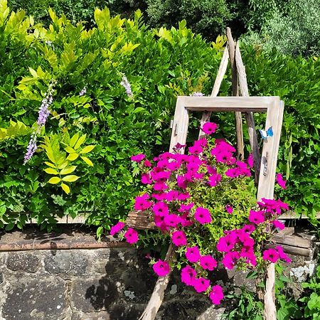 La Casa Nel Chianti Διαμέρισμα Greve in Chianti Εξωτερικό φωτογραφία