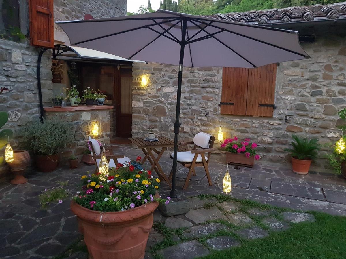 La Casa Nel Chianti Διαμέρισμα Greve in Chianti Εξωτερικό φωτογραφία