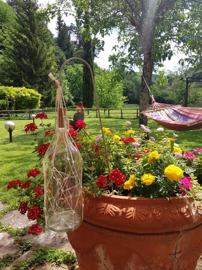 La Casa Nel Chianti Διαμέρισμα Greve in Chianti Εξωτερικό φωτογραφία