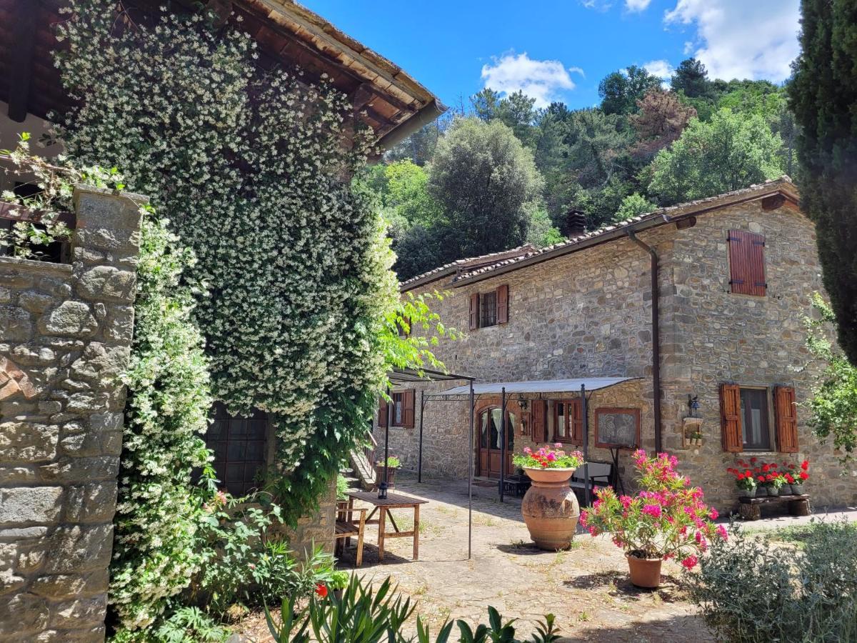 La Casa Nel Chianti Διαμέρισμα Greve in Chianti Εξωτερικό φωτογραφία
