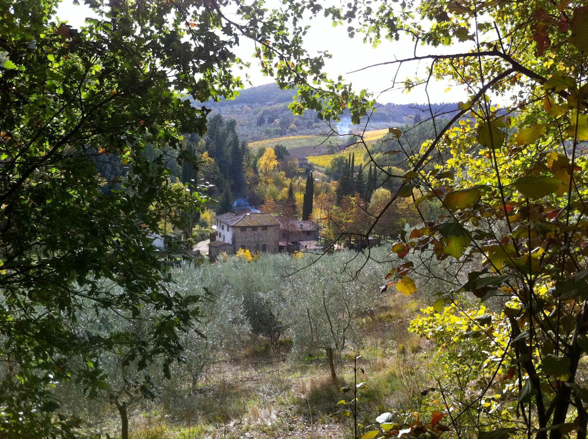 La Casa Nel Chianti Διαμέρισμα Greve in Chianti Εξωτερικό φωτογραφία