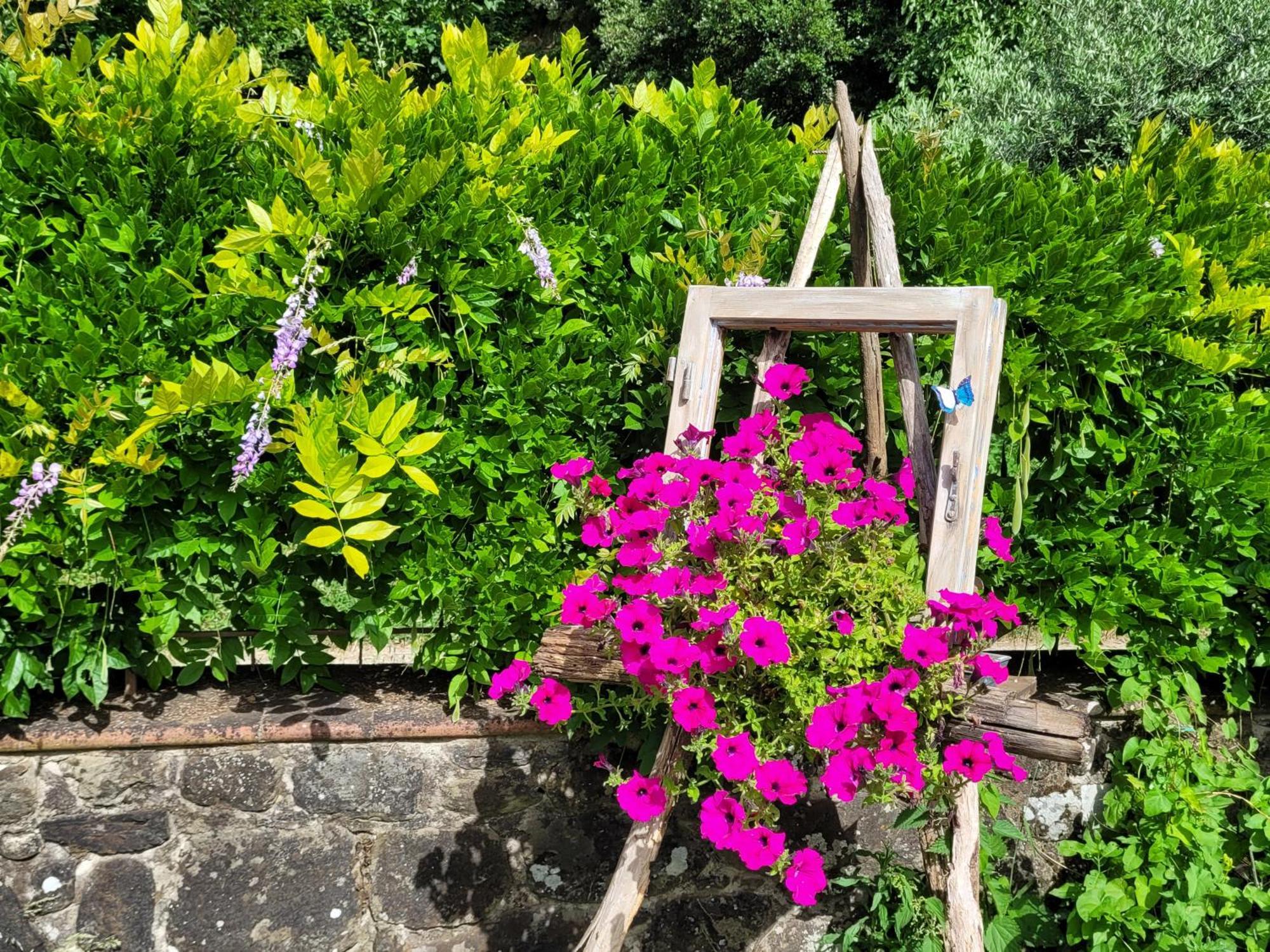 La Casa Nel Chianti Διαμέρισμα Greve in Chianti Εξωτερικό φωτογραφία