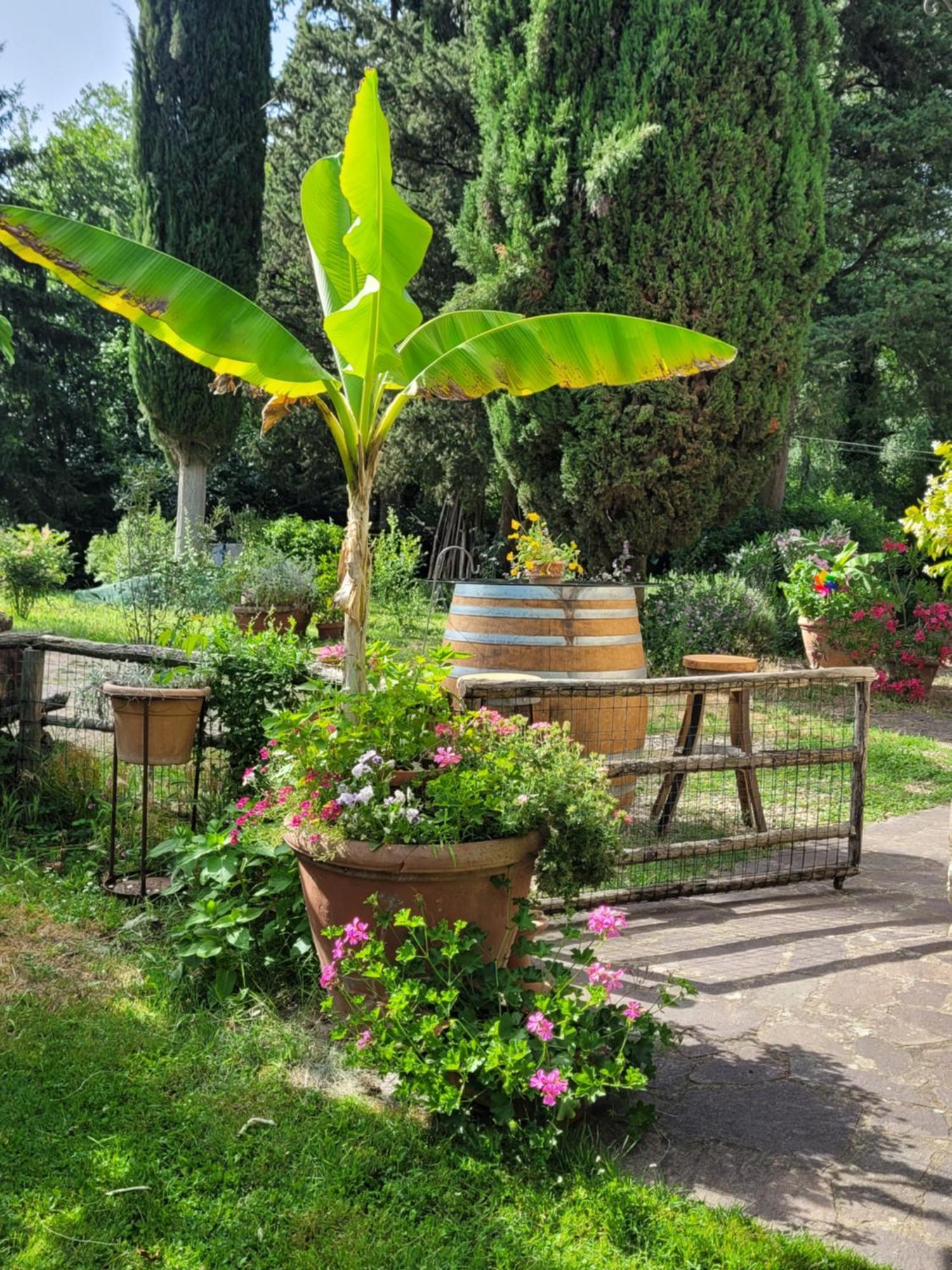 La Casa Nel Chianti Διαμέρισμα Greve in Chianti Εξωτερικό φωτογραφία