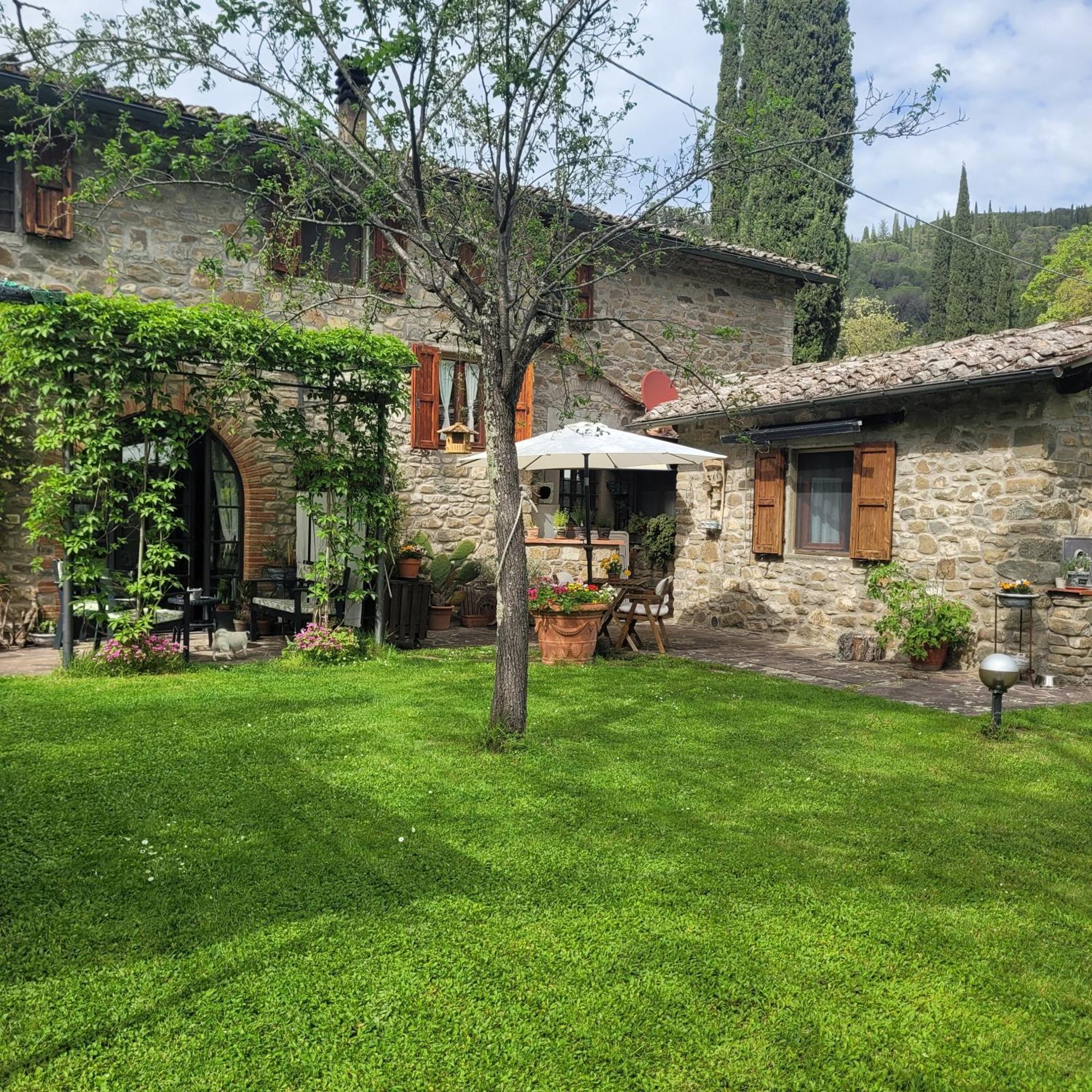 La Casa Nel Chianti Διαμέρισμα Greve in Chianti Εξωτερικό φωτογραφία