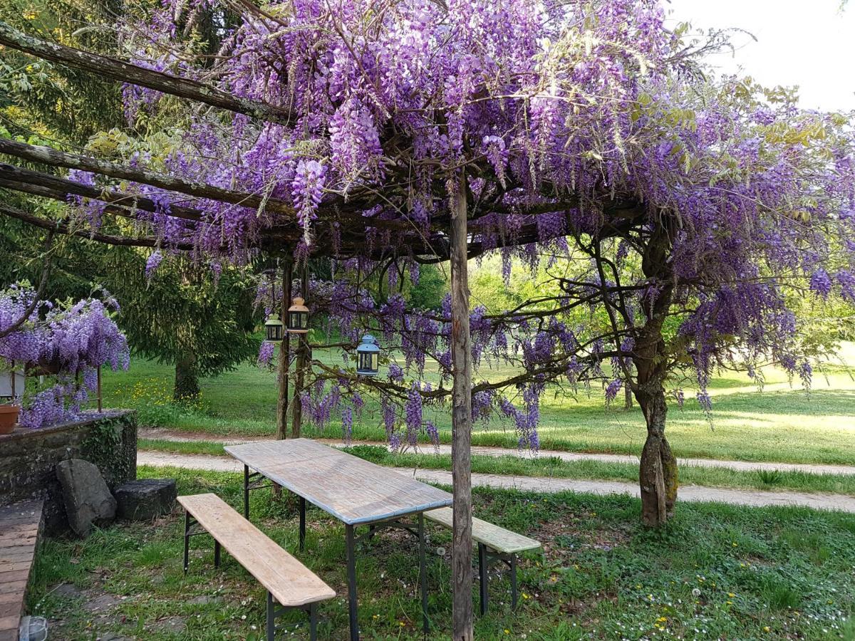 La Casa Nel Chianti Διαμέρισμα Greve in Chianti Εξωτερικό φωτογραφία
